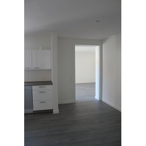 K�kken med kik til stue