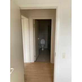 Mellemgang