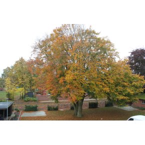 Udsigt fra stue og vrelse