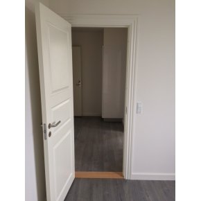 Fra vrelse mod entre